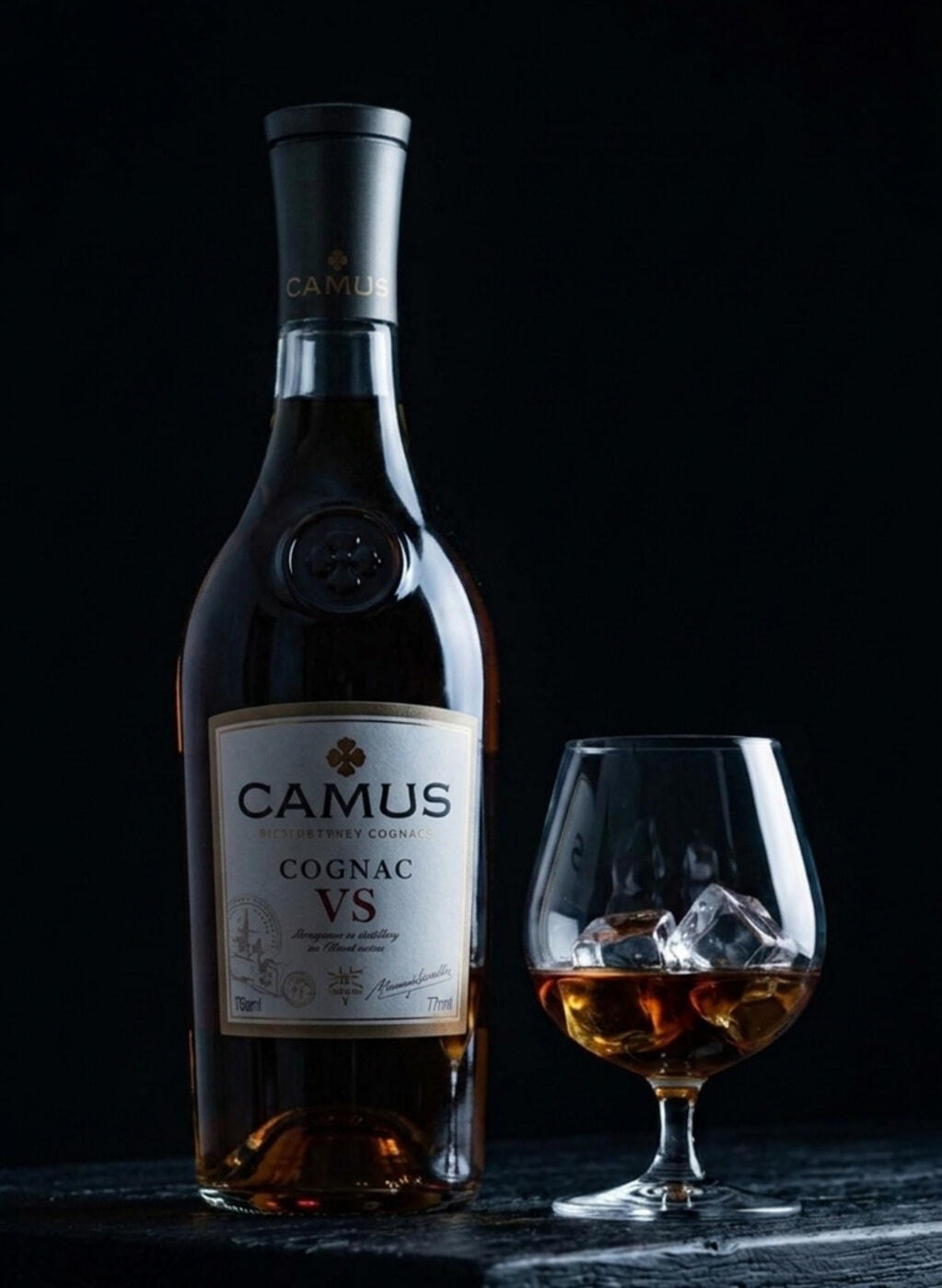 Camus VS